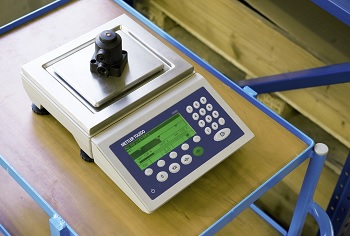 ICS465 INDUSTRIAL COMPACT SCALE