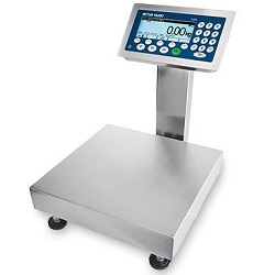 ICS469 INDUSTRIAL COMPACT SCALE